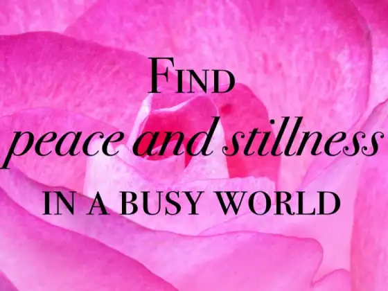 A Beginners Guide to Meditation - Multilingual