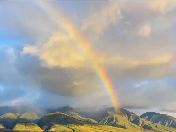 Remote Healing for Full Chakra Alignment - Multilingual