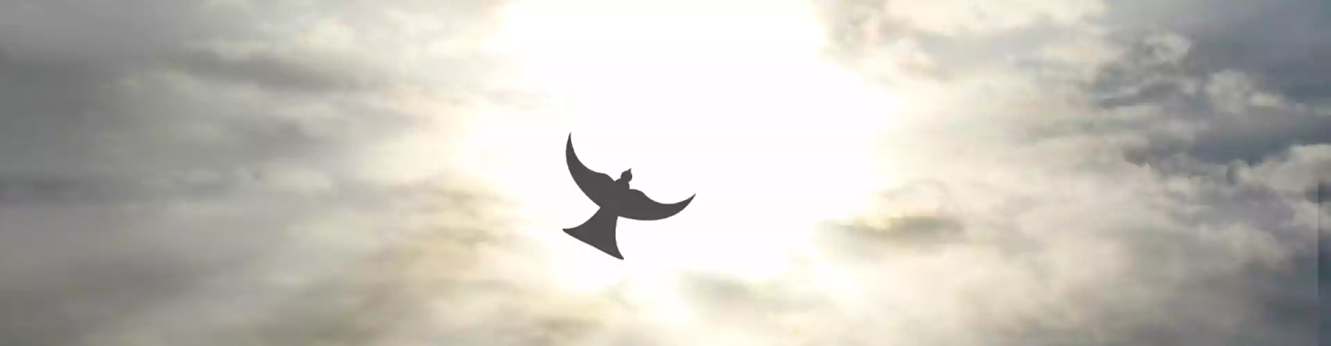 Spiritualità "L'anello mancante nel benessere mentale" - Online Class by Beth Lynch