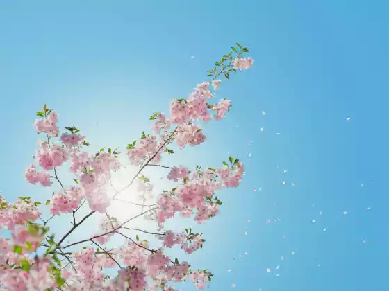 女性健康的能量治疗