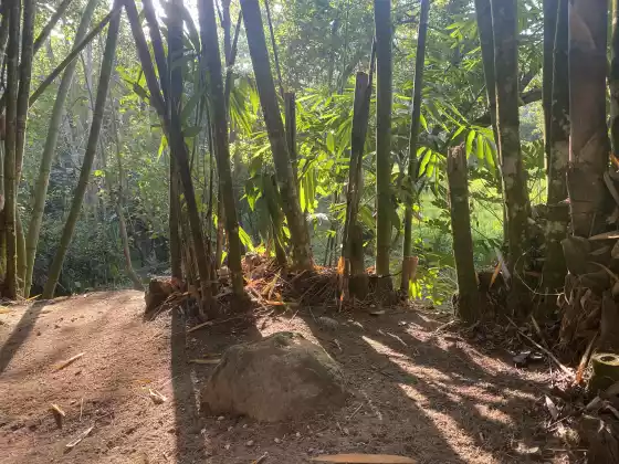 ফ্রি রেকি রিসেট - 8 মিনিট