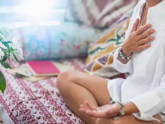 Siri Meditasi Penjelmaan Jiwa dengan Panduan Ketahanan Leah Skurdal