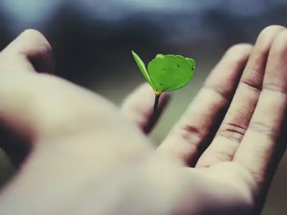 職業校準以實現與靈魂一致的成功問答網路研討會 5