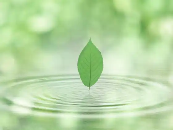 8 सिल्क ब्रोकेड के साथ चीगोंग दैनिक अभ्यास