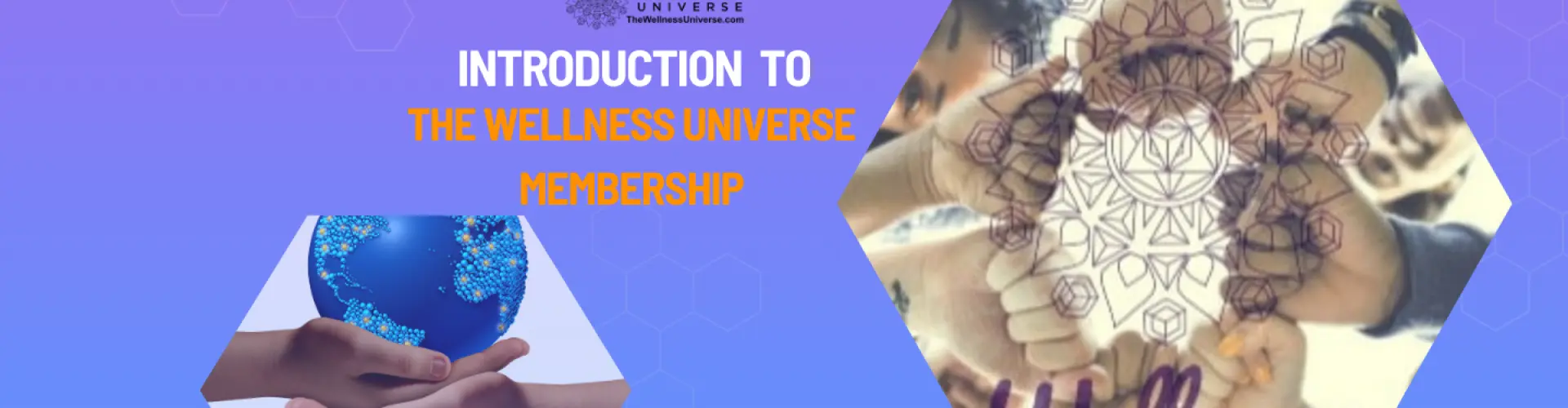 Wellness Universe 会员介绍 - VIP 邀请 - Online Class by The Wellness Universe