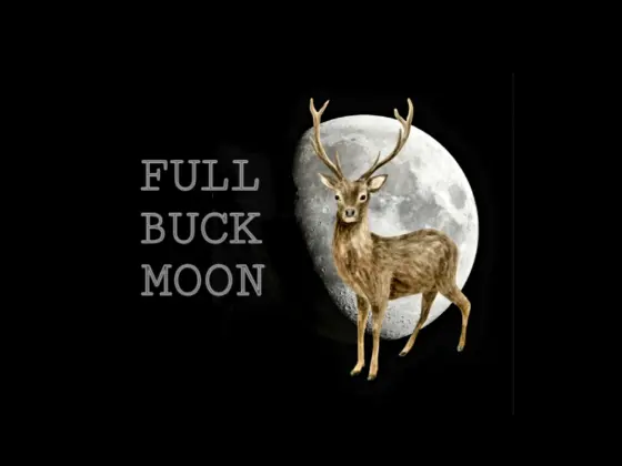 Meditasi Bulan Buck Penuh