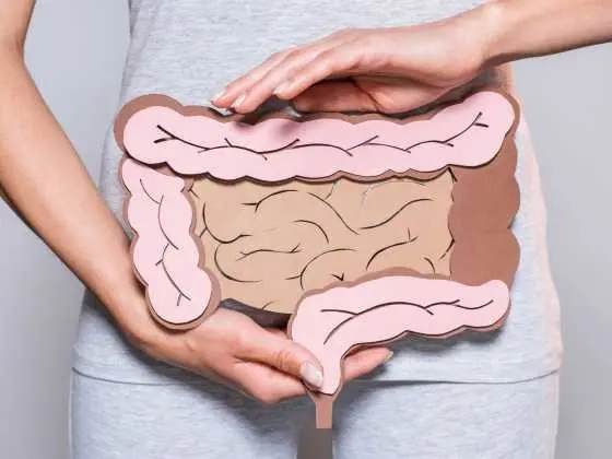 Gut Health