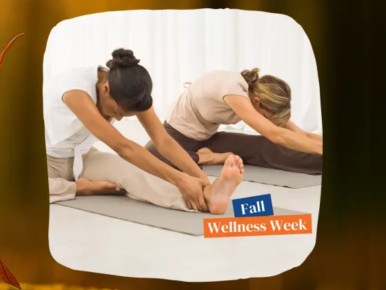 Capire il tuo pavimento pelvico: la sua connessione con la vita quotidiana e la pratica yoga