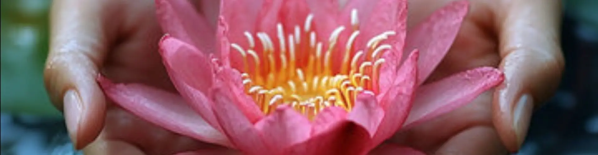 Reiki cấp độ 2 Okuden - Online Class by Cassaundra Paolini
